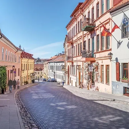 Appartement New! Luxury Old Town Vilnius