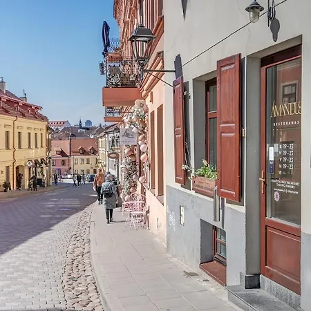 Lägenhet New! Luxury Old Town Vilnius
