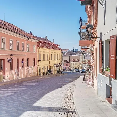New! Luxury Old Town * Vilnius