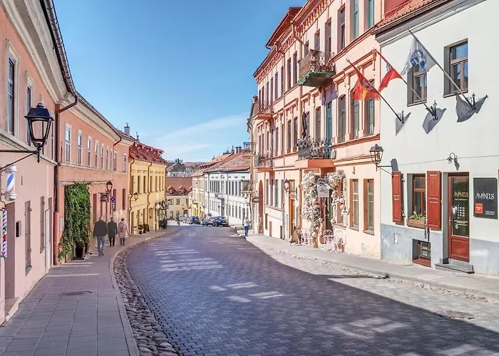 شقة New! Luxury Old Town فيلنيوس