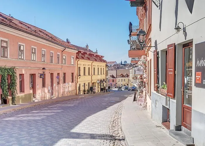 New! Luxury Old Town * فيلنيوس